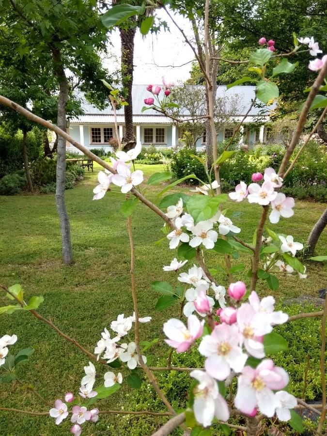 Fleur Bleue & The Timber Frame Bed & Breakfast Heidelberg  Ngoại thất bức ảnh